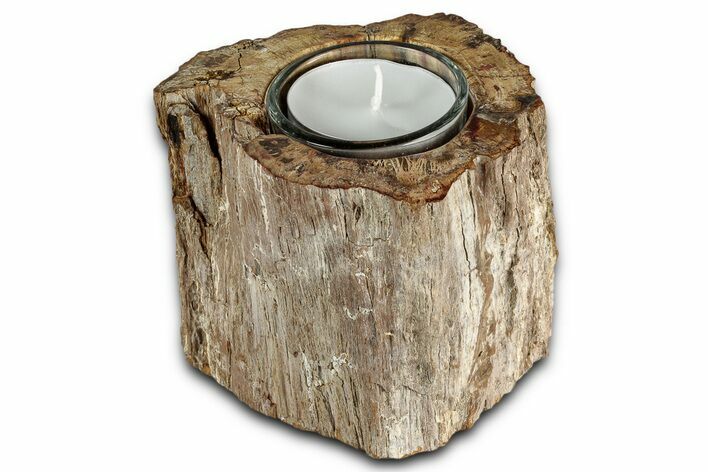 Polished Petrified Wood Candle Holder - Madagascar #337561